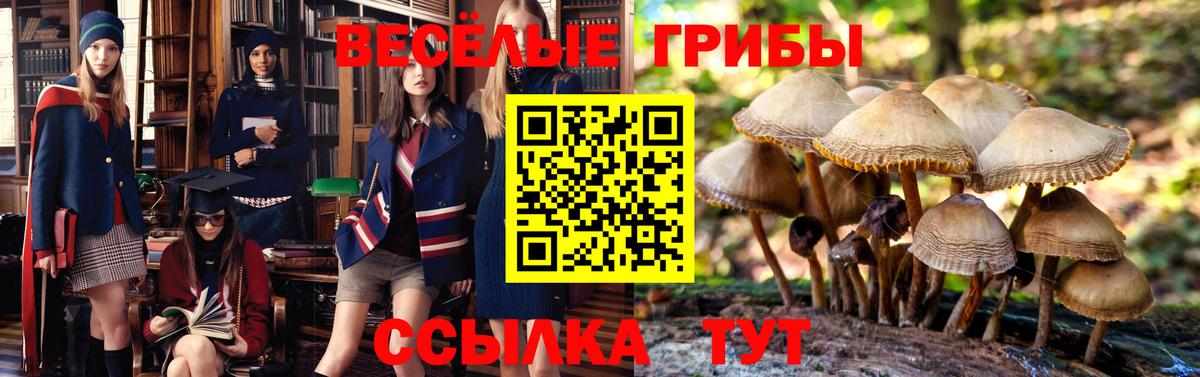 Рузаевка  Галлюциногенные грибы GOLDEN TEACHER  Вход с VPN 